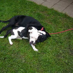 Huggggggg!!!