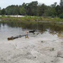 Bailey en Loeka op de heide!