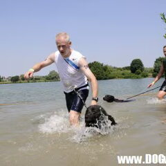 dogsurvival Oudenaerde 2010