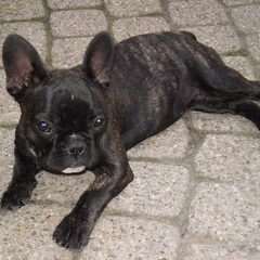 Dit is mijn lieve lola