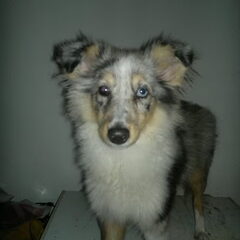 mainey 4maanden