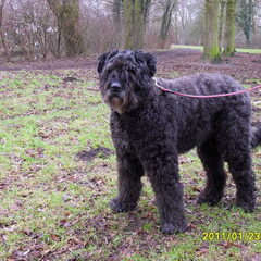Dit is dus onze Zohra, een mooie meid met lange benen, en…