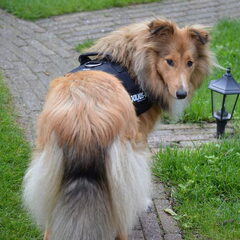 Daisy van achter!