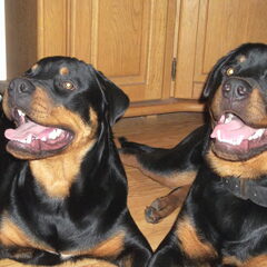 Floyd met broer Thor