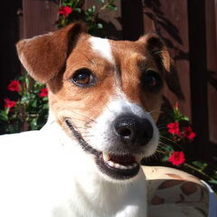 smile!