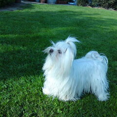 lady 1 jaar.. Hiep hiep hoera