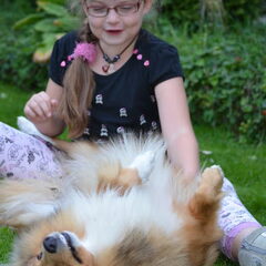 Alysha Daisy kroelen