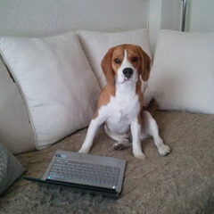 Af en toe surf ik wat op het internet...