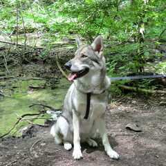 Kroatie, Nationaal park Plitvice meren.