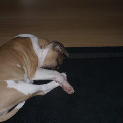 En weer slapen! Dat doe ik zoooo graag..