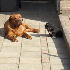 Senior en Junior :)