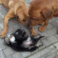 Heerlijk samen spelen