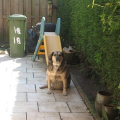 lekker in de tuin!!
