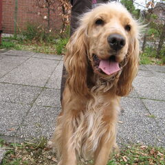 mijn lieverd!!