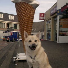 vandaag gingen we naar de markt, tjonge wat een mensen maar…