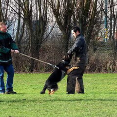 Ron en Jazzy tijdens manwerk