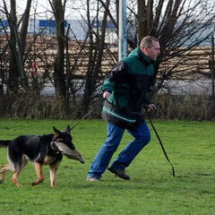 Niet alleen de hond maar ook de baas moet rennen