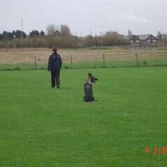 de zit oefening