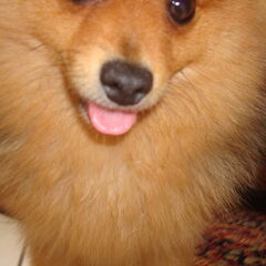 Say "Hi" to the camera