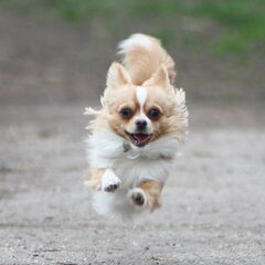 Springend door het leven!