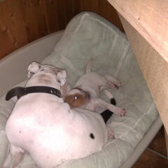 Stiekum in de mand