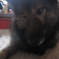 Lieve oogjes