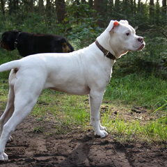 Lady, bijna 6 maanden