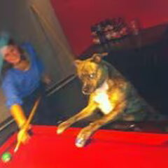 Montana & Hilde