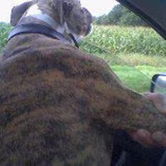 drivin' to safe the day haha