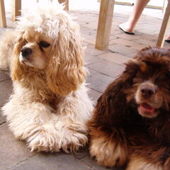 Amy en Zina