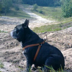 Maartje in het Streu bij Tubbergen - eind september 2011.