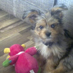 Oh wat is ze al veranderd :D