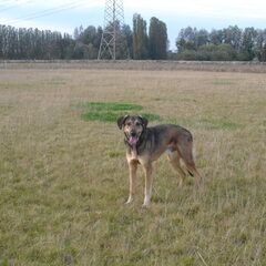 R.I.P My special friend (l)