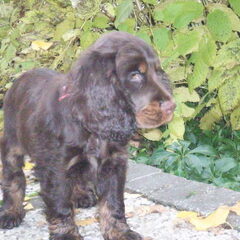 Op verkenning in de tuin.