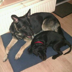 Samen slapen..