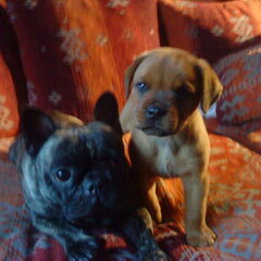 Sophie en Mason