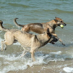 Kim & Cas, zomer 2011