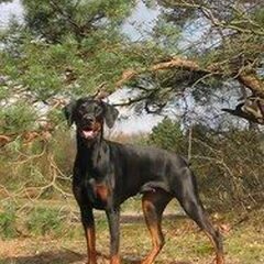 Eyisha van de Couthalzen, roepnaam Tayisha, geboren te…