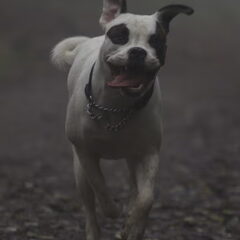 Ik ben happy :)