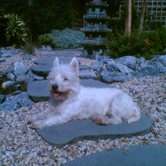 Jessie in de zon