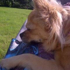 Chika aant chillen in de zon