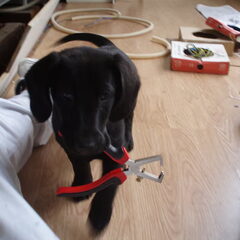 tommy helpt daan met werken
