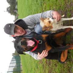 rex en rhino