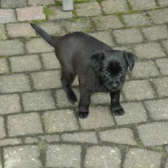 11-12-2011-- Ik waak hier