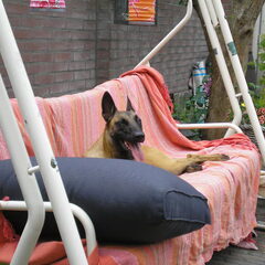 ff relaxen