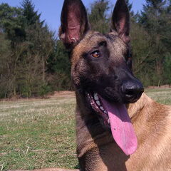 My beauty