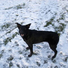 Sneeuw!
