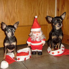 Jip en Noena Kerst 2011