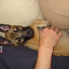 Lela, die oortjes...:P