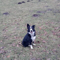 Lupi, 6,5 maandjes oud
